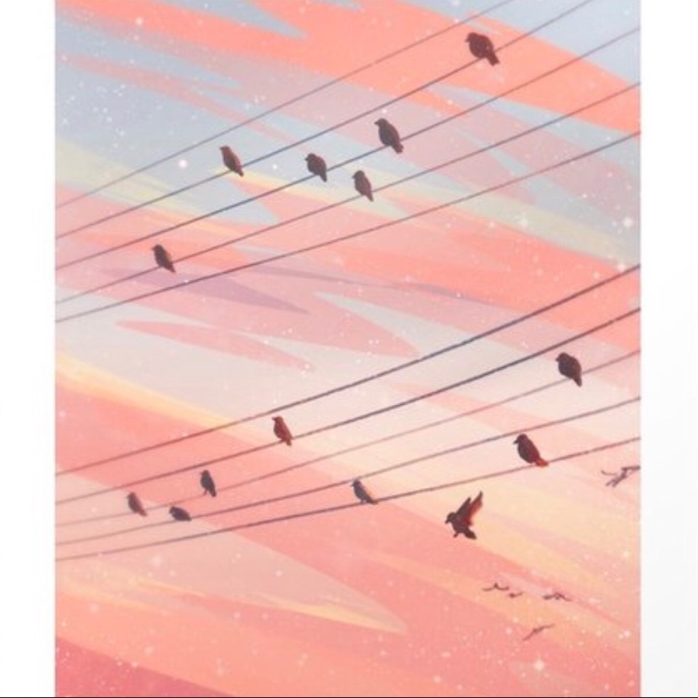 Meet your Posher, Wendy